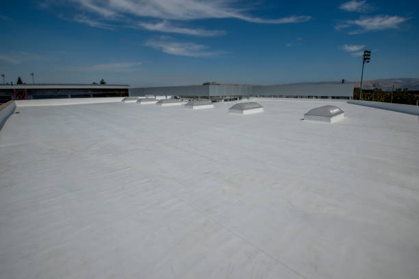 Best Sheet Metal Roofing  in The Plains, OH