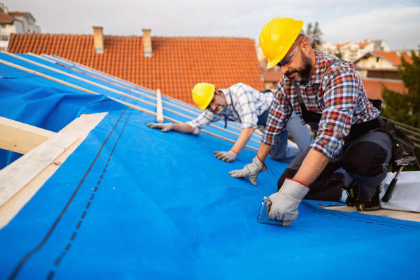 Best Metal Roofing Installation  in The Plains, OH