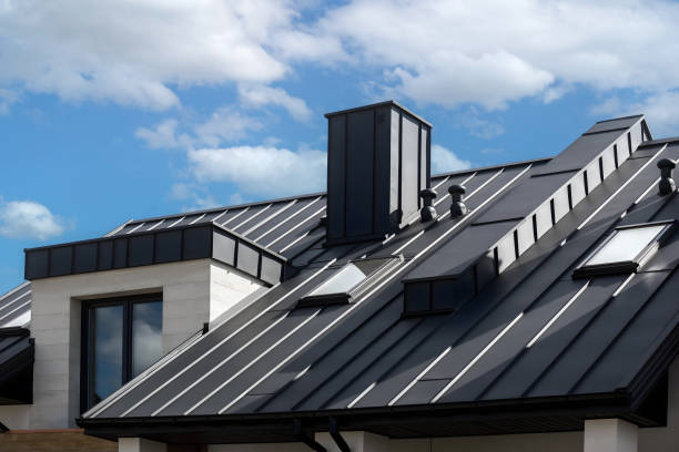 Best Skylight Installation and Repair  in The Plains, OH